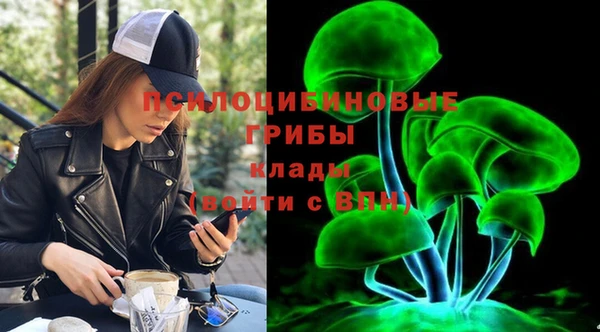 mdpv Белокуриха
