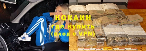 соль ск Дубна