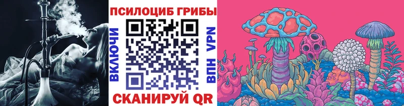 Галлюциногенные грибы Psilocybine cubensis  наркошоп  Кораблино 
